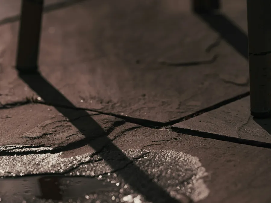 5 Signs Your Dallas Yard Has a Drainage Problem